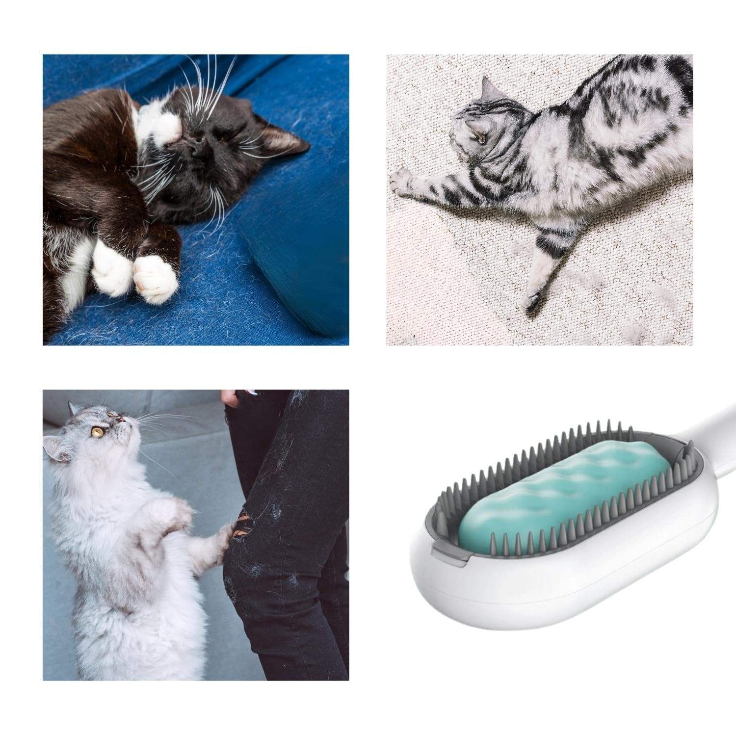 Pet Hair Brush With Water, Sticky Brush For Cats & Dogs