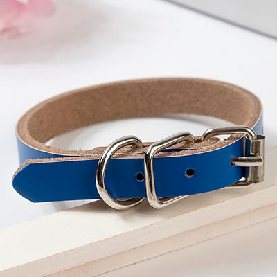 Leather dog collar dog chain