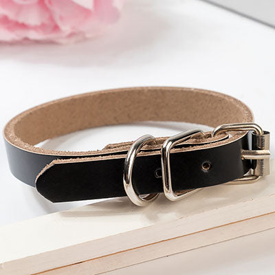 Leather dog collar dog chain