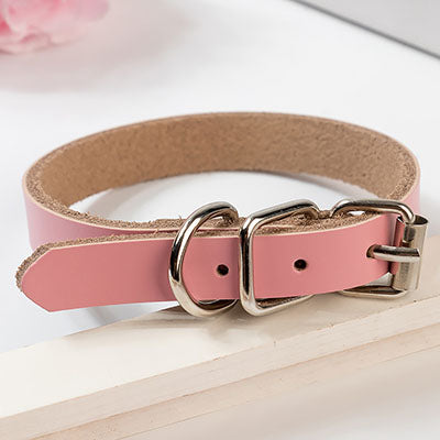 Leather dog collar dog chain