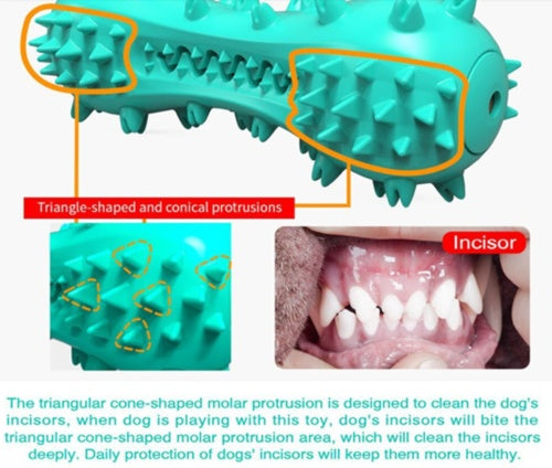 Rubber Molar Stick Dog Oral Teeth