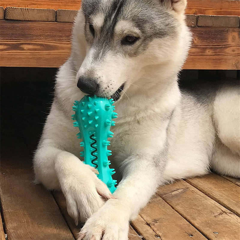 Rubber Molar Stick Dog Oral Teeth